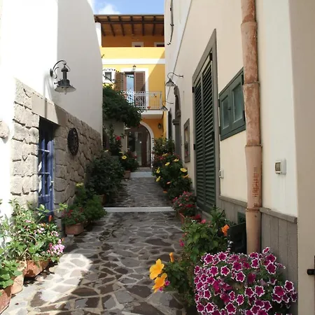 Malvasia - Il Nuovo Palmento *